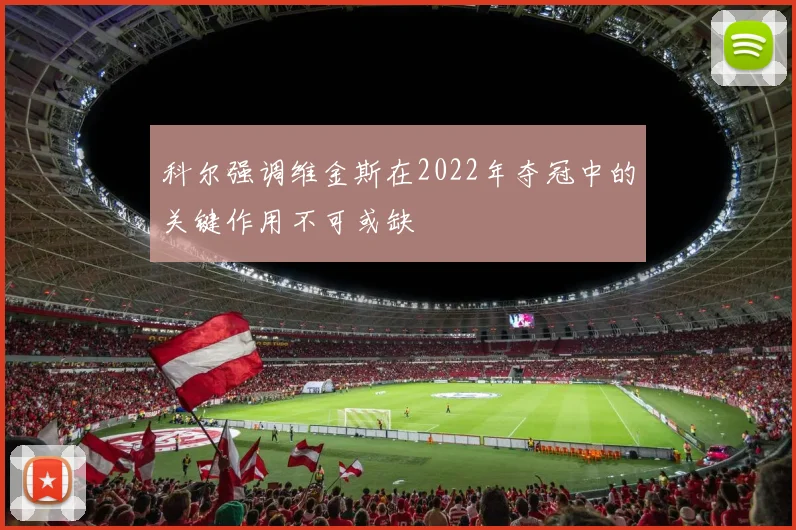 科尔强调维金斯在2022年夺冠中的关键作用不可或缺