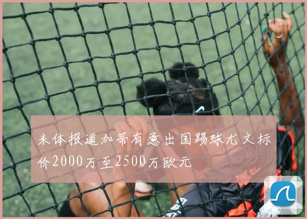 米体报道加蒂有意出国踢球尤文标价2000万至2500万欧元
