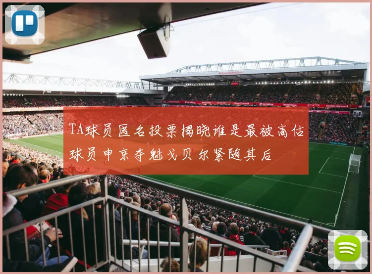TA球员匿名投票揭晓谁是最被高估球员申京夺魁戈贝尔紧随其后